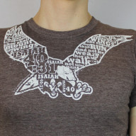 Pánske tričko - Na krídlach orla (TP049)