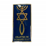 Odznak - Naštepený, Rim 11:17 (IZ197)