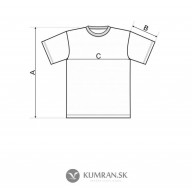 Pánske tričko - Viera hýbe vrchmi (TP060)