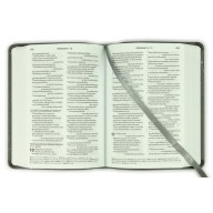 Biblia, ekumenický preklad, edícia Slovo, vrecková, sivá