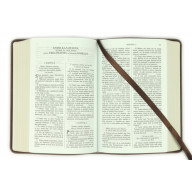 Biblia, Roháček, 2020, vrecková, hnedá