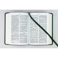 Biblia, Roháček, 2020, vrecková, zelená
