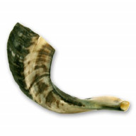 Šofar z baranieho rohu. III (IZ050)